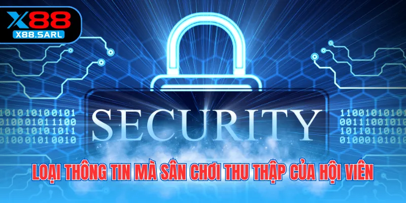 Loại thông tin mà sân chơi thu thập của hội viên